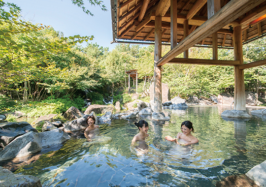 組合員様限定<br>長島温泉　「湯あみの島」ご招待